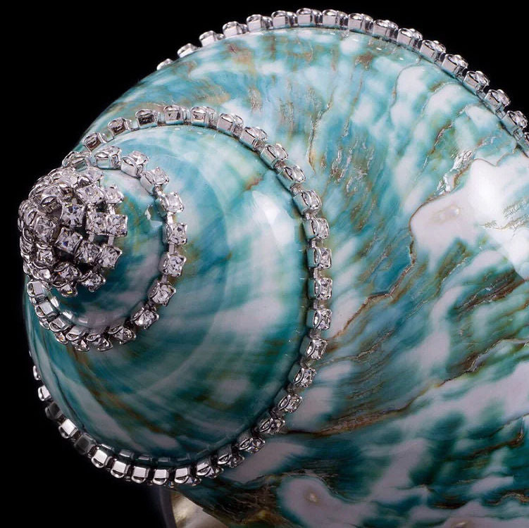 Swarovski Crystal Jade Turbo Shell Napkin Ring Set - Nautical Luxuries