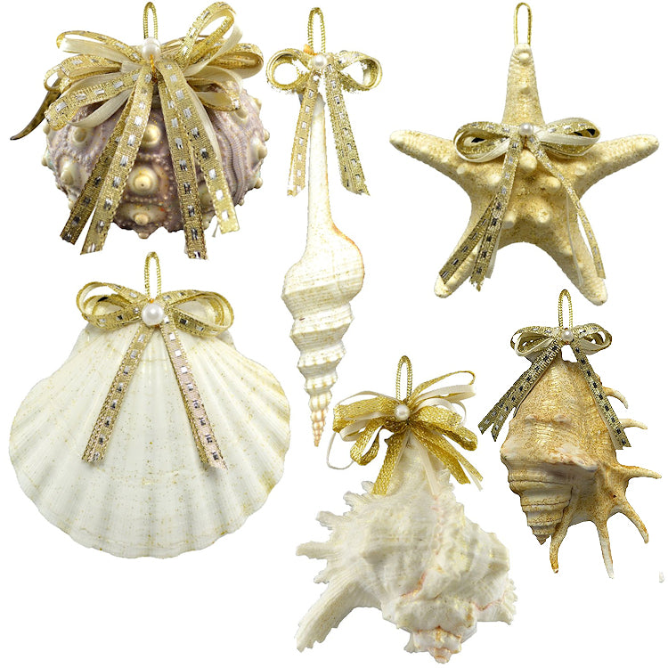 Natural Deep Sea Shells 12-Pc. Ornament Set - Nautical Luxuries