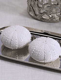 Bone China White Urchin Salt & Pepper Set - Nautical Luxuries