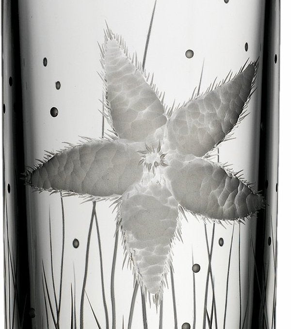 Sea Creatures Hand Engraved Varga Crystal 6-Pc. Hi-Ball Glass Sets - Nautical Luxuries