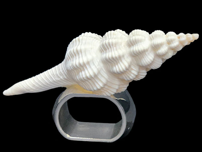 Delicate Natural Spindle Shell Napkin Ring Set - Nautical Luxuries