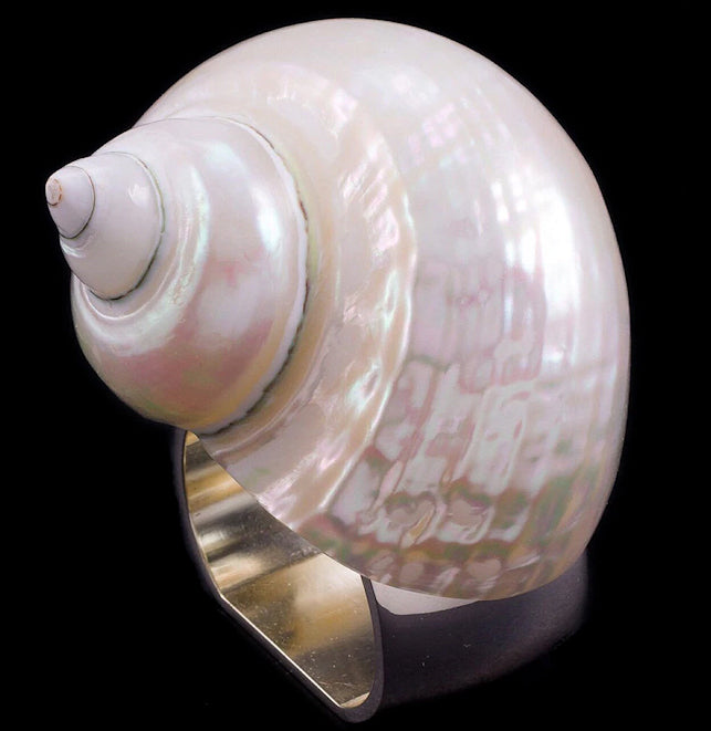 Natural Pearl Turbo Shell Napkin Ring Sets - Nautical Luxuries