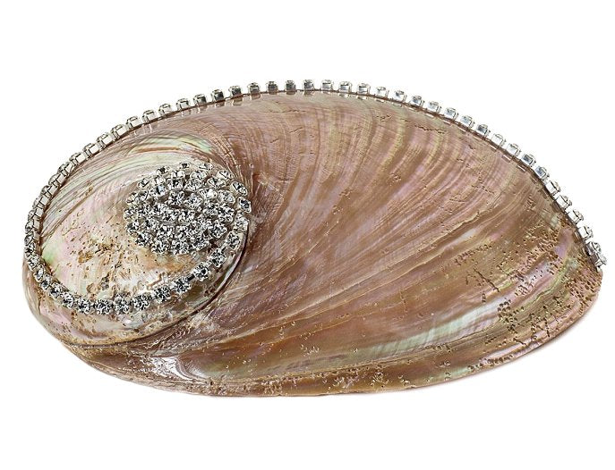 Neptune's Jewels Crystal Shell Collection Pearl Abalone - Nautical Luxuries