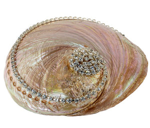 Neptune's Jewels Crystal Shell Collection Pearl Abalone - Nautical Luxuries