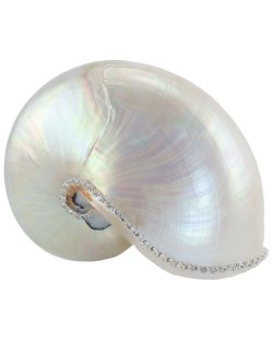 Neptune's Jewels Crystal Shell Collection Pearl Nautilus - Nautical Luxuries