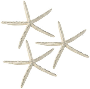 The Wishing Star Crystal Embellished Starfish - Nautical Luxuries