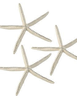 The Wishing Star Crystal Embellished Starfish - Nautical Luxuries