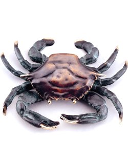 Brass Bluepoint Coastal Door Knocker - Nautical Luxuries