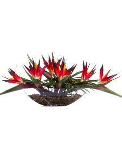 Red Bird of Paradise Long Yacht Silks Centerpiece Arrangement - Nautical Luxuries