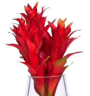 Red Bromeliad Stateroom Bouquet Yacht Silks Arrangement - Nautical Luxuries