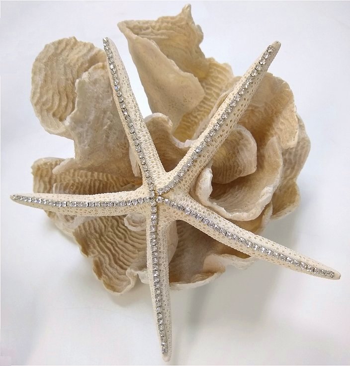 The Wishing Star Crystal Embellished Starfish - Nautical Luxuries